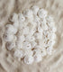 Tumbler Home Small Natural White Sand Dollars 50 pcs - Wedding - Sea Shell Craft 1 1/4" to 1 1/2" - Hand Picked and Professionally Packed...