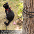Cat Leash - 15 ft / 30ft Reflective Long Cat Leash Outdoor for Walking Training Playing - Escape Proof Yard Lead Pet Leash Also for Cats, Small Do...