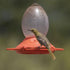 Perky-Pet Opus Plus 32-ounce Plastic 449-2 Oriole Feeder...