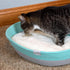 Kitty City Cat Premium Natural Catnip Tin, Premium Catnip Bag, Catnip with Silvervine, Catnip Spray...