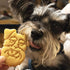 Set of 2 Mini Schnauzer cookie cutters (Designs: Body & Face), 2 pieces - Bakerlogy...