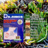 All-Natural Herbal Blend Pain Relief Gel Patch Deep Penetrating Water Resistant (5 Patches)...