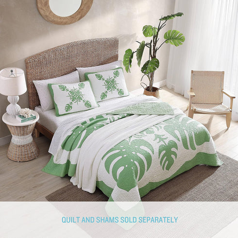 Tommy Bahama - Standard Sham, Cotton Bedding with Envelope Closure, Breathable Home Decor (Molokai Green, 21x27)...