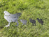 Metal Stake Chicken Decorative Garden Stakes Black Small Chicken Silhouette Garden Statues for Yard Outdoor Lawn Patios Garden Decoration,Set of 4...
