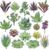 Artificial Succulent Plants - 18 Pack - Premium Fake Plants - Double Flocked Succulents - Realistic Textured Cactus - Face Succulent Plants - Mini...