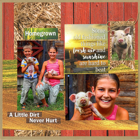 Reminisce ATF-200 at The Farm Scrapbook Collection Kit, 12x12 inches...