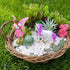 Mood Lab Fairy Garden - Fairy with Unicorn Set of 2 pcs - Miniature Figurines Statue Kit - Outdoor or House Decor...