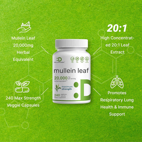 DEAL SUPPLEMENT Mullein Leaf Extract 20,000mg, 240 Veggie Capsules – 4 Month Supply – Natural Lung Detox Herbal Supplement – Supports Respiratory ...