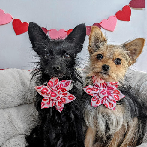Huxley & Kent Pet Pinwheel | Kisses (Small) | Valentine's Day Velcro Collar Accessory for Dogs/Cats | Bow Collar Attachment | Cute, Comfortable Ac...