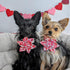 Huxley & Kent Pet Pinwheel | Kisses (Small) | Valentine's Day Velcro Collar Accessory for Dogs/Cats | Bow Collar Attachment | Cute, Comfortable Ac...