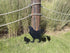 Metal Stake Chicken Decorative Garden Stakes Black Small Chicken Silhouette Garden Statues for Yard Outdoor Lawn Patios Garden Decoration,Set of 4...