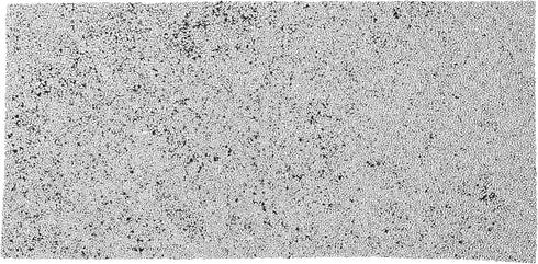 Whynter ARC-CF-14S ARC-14S Activated Carbon Filter Replacement for Portable Air Conditioner, 1 Count (Pack of 1)...