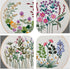 Maydear 4 Pack Embroidery Starter Kit with Pattern, Stamped Cross Stitch Kits for Beginners Adults with Embroidery Hoop and Instructions, Hand Emb...