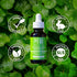 SeoulCeuticals Organic Polyglutamic Acid Serum - Korean Skin Care + Hyaluronic Acid + Centella Asiatica - K Beauty Anti Aging - Healthy Glowing Sk...