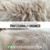Slicker Brush for Small Dogs and Poodles - Coated Tips Massages Pet Skin - Cat Slicker Brush for Long Haired Cats - Wire Doodle Brush with Extra L...