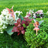 Mood Lab Fairy Garden - Miniature Fairies Figurines - Sitting Girls Set of 2 pcs - for Outdoor or House Decor Statue Kit...