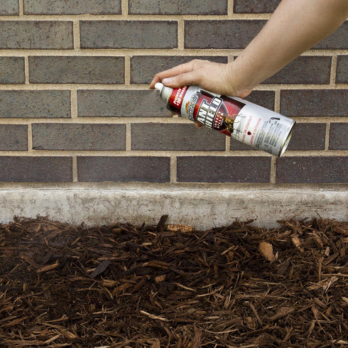 15 Oz Ant Shield Insect Killer Aerosol...