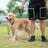 iYoShop 6 FT Durable Slip Lead Dog Leash with Padded Handle and Highly Reflective Threads, Dog Training Leash, (Medium/Large, 35~120 lbs., Grey)...