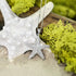 Honolulu Jewelry Company Sterling Silver Textured Starfish Ocean Sea Life Necklace Pendant with 18" Box Chain...