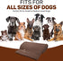 Dog Towel Super Absorbent Quick Drying Super Soft Microfiber Pet Towel for Dogs, Cats and Other Pets (55 x 28 Inches, Brown)...