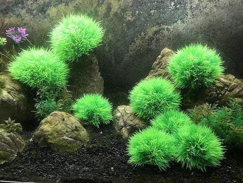 BEGONDIS 4Pcs Aquarium Decorations Fish Tank Artificial Green Water Plants Made of Soft Plastic...