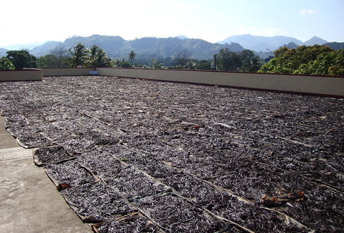 25 Tahitian Extract Grade B Natural Vanilla Beans by Vanilla Products USA...