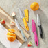 Paring Knife, 4PCS Paring Knife Set with Knife Sheaths, 3.7 inch Stainless Steel Pairing Knife, Ultra Sharp Small Kitchen Vegetable Fruit Knives, ...