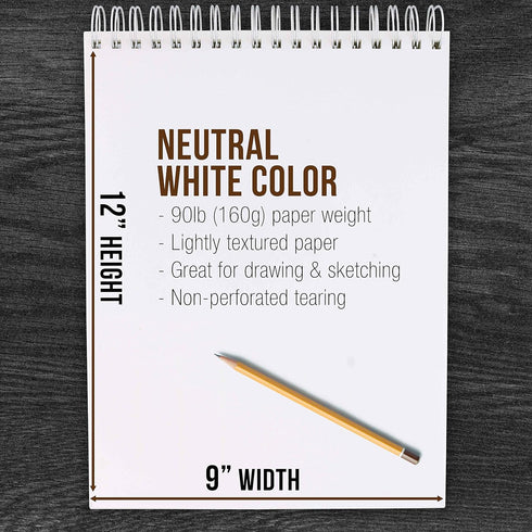 U.S. Art Supply 9" x 12" Premium Heavy-Weight Paper Spiral Bound Sketch Pad, 90 Pound (160gsm), Pad of 30-Sheets (Pack of 2 Pads)...