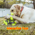Dog Chew Squeaky Toys, Dog Teeth Cleaning Toy, Tug of War, Stuffed Jack Bone Toy with Squeakers, Durable Interactive Toy for Small Medium Large Do...