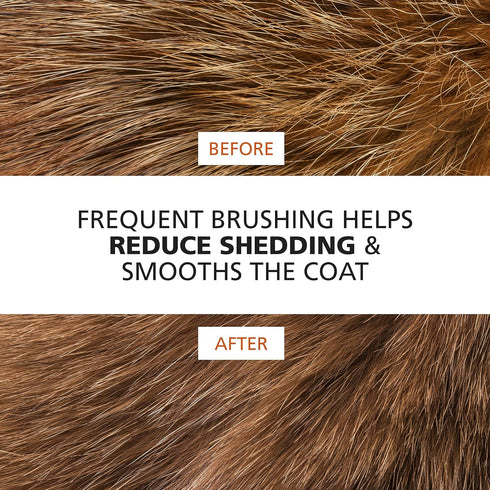 Wahl Premium Pet Double Sided Medium Pin Bristle Brush, Ergonomic Brush with Ergonomic Rubber Grips for Comfortable Brushing and Finishing Coats o...