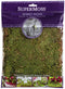 SuperMoss (21580) Sheet Moss Dried, Natural, 2 Ounce...
