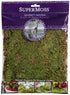 SuperMoss (21580) Sheet Moss Dried, Natural, 2 Ounce...