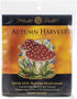 Mill Hill Counted Cross Stitch RED Cap, Multi...