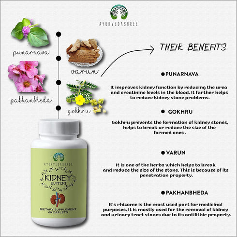Kidney Support Herbal Supplement - Supports Healthy Kidney Function, Vegan, Gluten-Free, GMP Certified - Each Caplet of 1000 MG...