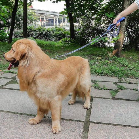 Chew Proof Metal Leash Chain Dog Leash for Medium Large Dogs, Chain Link Dog Leash Anti Chew 4FT Strong Anti Bite Dog Leash Comfortable Soft Padde...