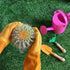 Heavy Duty Long Leather Garden Gloves Thorn and Cut Proof Garden Work Gloves (Medium, Yellow)...