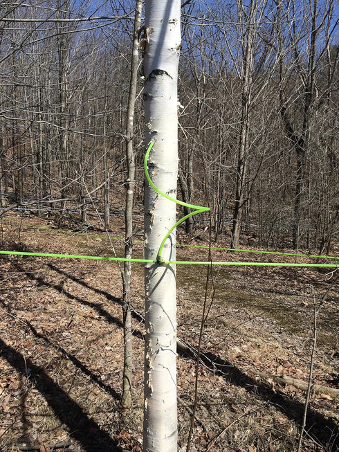 Vermont Organic Birch Syrup...