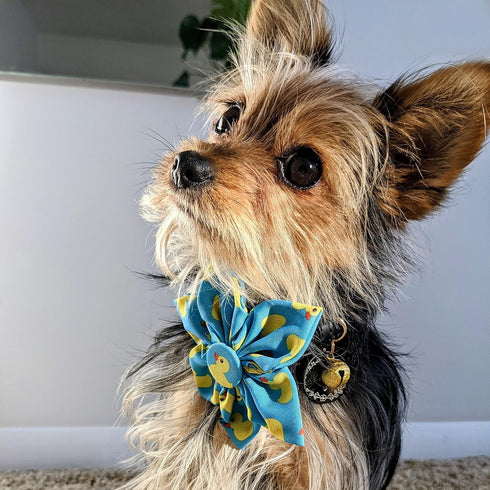 Huxley & Kent Pet Pinwheel | Lucky Ducky (Large) | Easter Spring Velcro Collar Accessory for Dogs/Cats | Bow Collar Attachment | Cute, Comfortable...