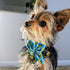 Huxley & Kent Pet Pinwheel | Lucky Ducky (Large) | Easter Spring Velcro Collar Accessory for Dogs/Cats | Bow Collar Attachment | Cute, Comfortable...