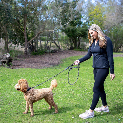 6 Foot Dog Leash, 2 Extra Padded Handles, Lockable Metal Carabiner Clip, Durable Silicone Clamps, Reflective No Pull Heavy Duty Rope Lead, Walking...