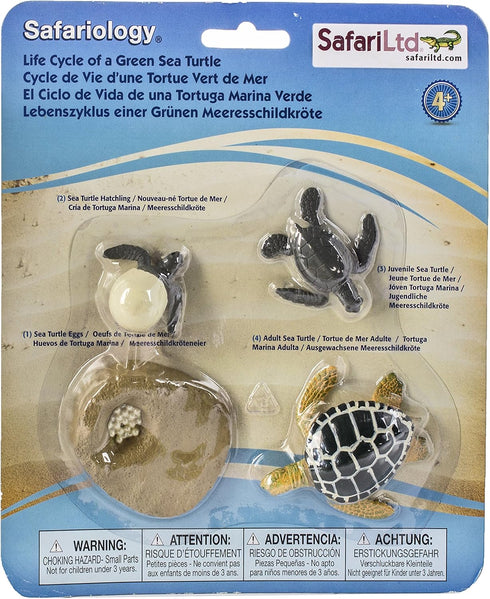 Safari Ltd. Life Cycle of a Green Sea Turtle - Educational Toy Figurines - Miniature Turtle Lifecycle Collection for Boys, Girls & Kids Age 4+...