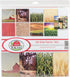 Reminisce ATF-200 at The Farm Scrapbook Collection Kit, 12x12 inches...