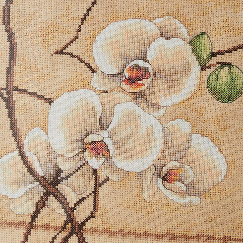 Dimensions 'Oriental Orchids' Counted Cross Stitch Kit, 14 Count Beige Aida, 12" x 12"...