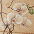 Dimensions 'Oriental Orchids' Counted Cross Stitch Kit, 14 Count Beige Aida, 12" x 12"...