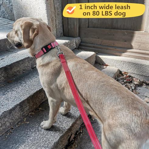 2-Pack 6FT Reflective Dog Leash for Large&Medium and Small Dogs, Strong and Durable Nylon Leashes for Walking and Training, 6 Foot Dog Leash with ...