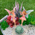 Mood Lab Fairy Garden - Miniature Fairies Figurines - Sitting Girls Set of 2 pcs - for Outdoor or House Decor Statue Kit...