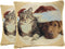 Tache 2 Piece Christmas Companions Cat Dog Holiday Festive Throw Pillow Cushion Covers...