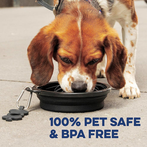 Large Collapsible Dog Bowl 1000 mL, Sturdy Reinforced Rim, includes Carabiner & Water Bottle Holder Keychain, Black...
