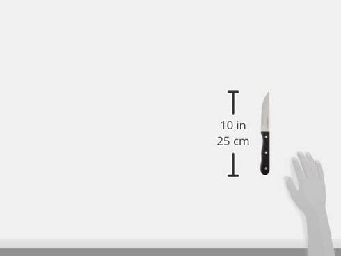 Henckels Steak Knife Set of 4, Stainless Steel, Black