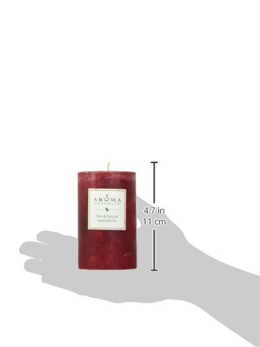 Aroma Naturals Holiday Essential Oil Scented Pillar Candle, Orange, Clove and Cinnamon, Warm Spice, 2.5 inch x 4 inch